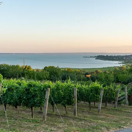 Gerenda Nyaralohaz Badacsony アパート