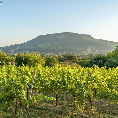 Gerenda Nyaralohaz Badacsony アパート *