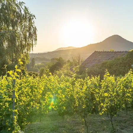 דירה Gerenda Nyaralohaz Badacsony בדקסוניטומאי