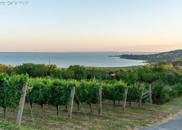 Gerenda Nyaralohaz Badacsony Daire