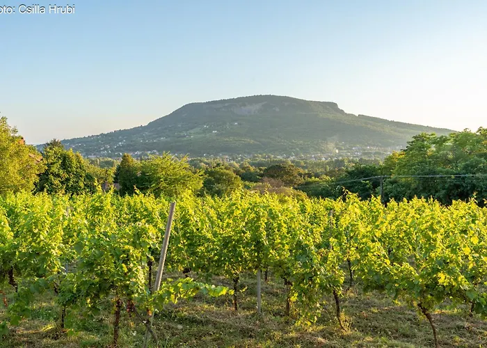 Gerenda Nyaralohaz Badacsony Daire *