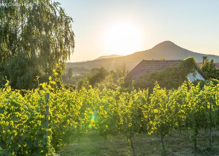 Daire Gerenda Nyaralohaz Badacsony Badacsonytomaj